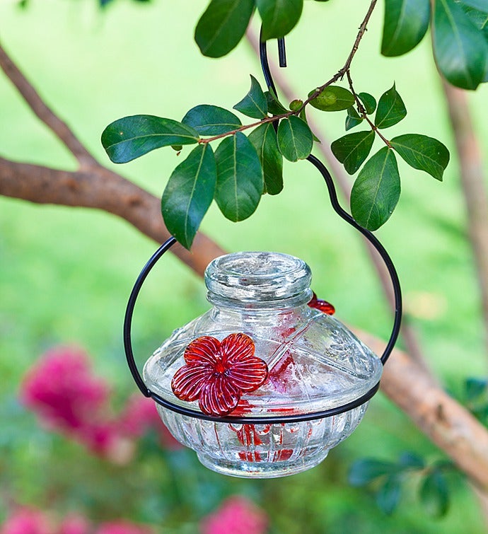 Hummingbird FeederClear Pot