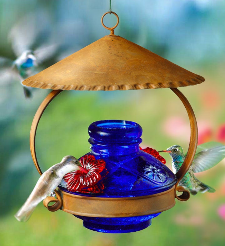 blue hummingbird feeder