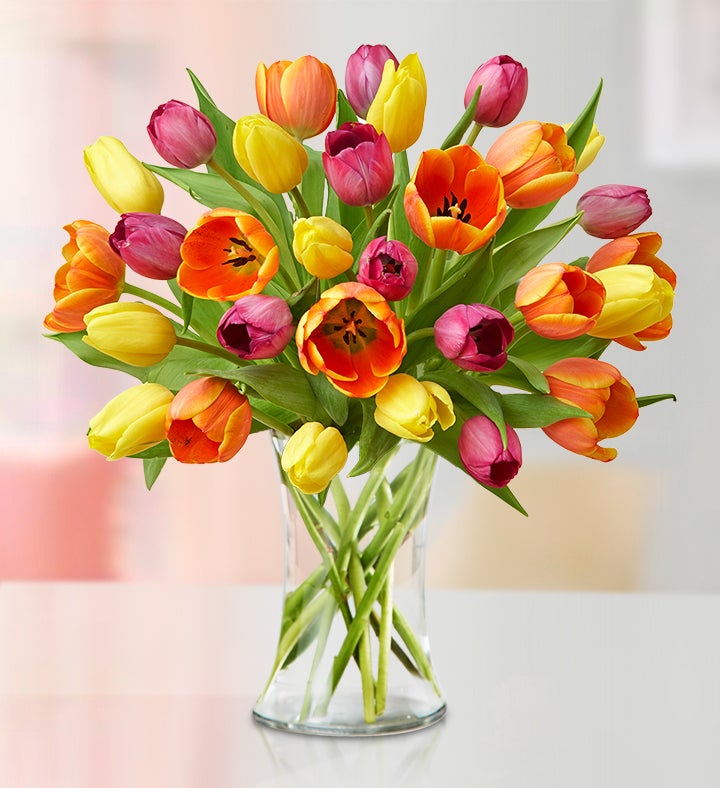 Assorted Tulips, 30 for $30