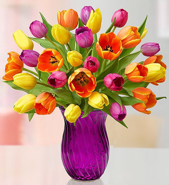 Assorted Tulip Bouquet + Free Shipping
