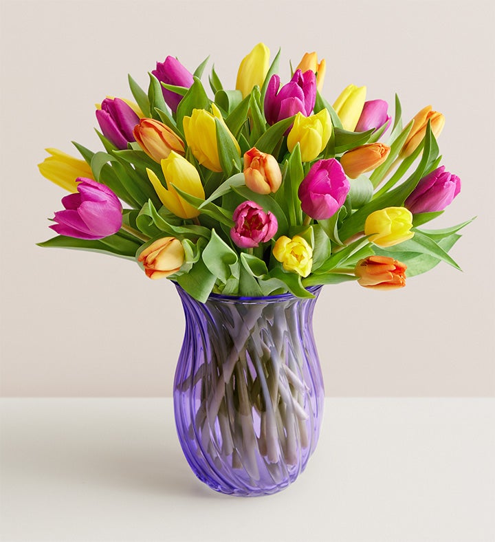 Assorted Tulips