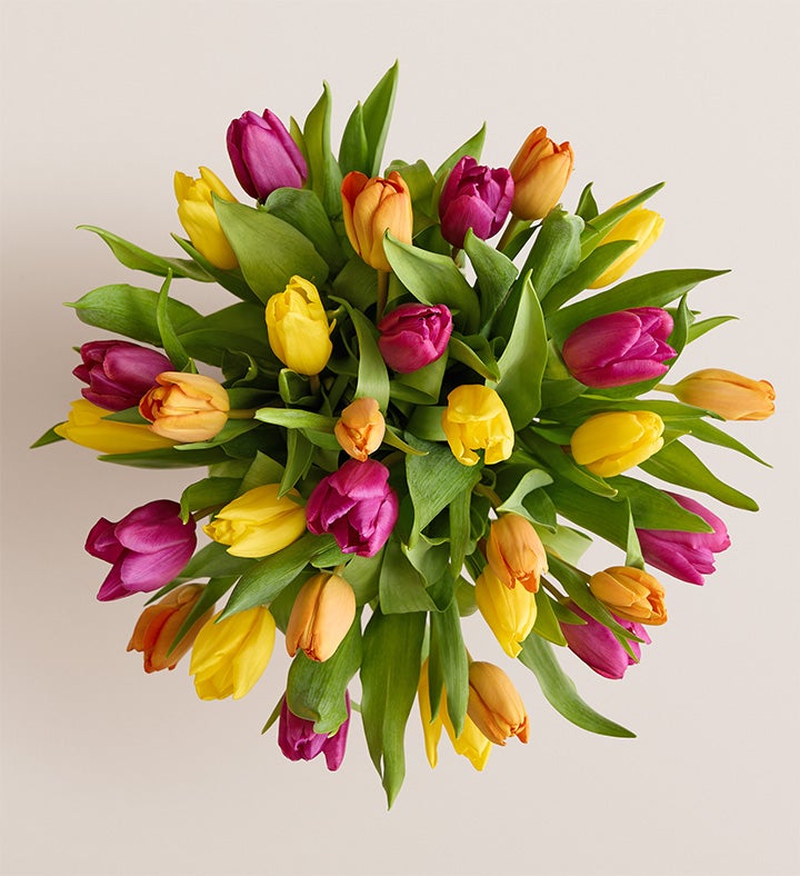 Assorted Tulip Bouquet