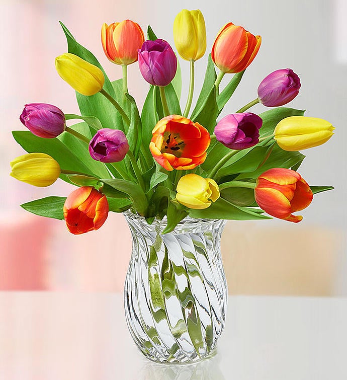 Assorted Tulips + Free Vase