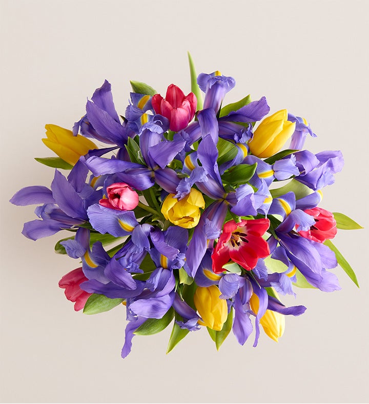 Fanciful Spring Tulip & Iris Bouquet