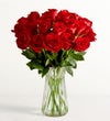 Two Dozen Red Roses