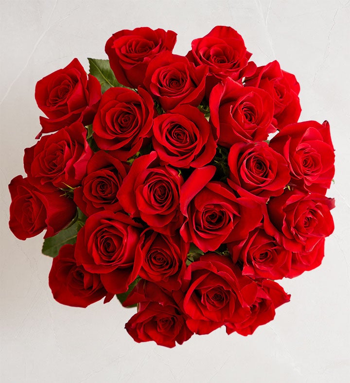 Two Dozen Romantic Red Roses