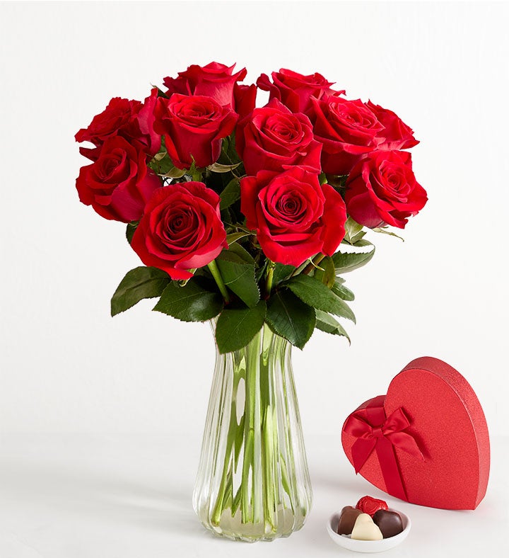 One Dozen Romantic Red Roses