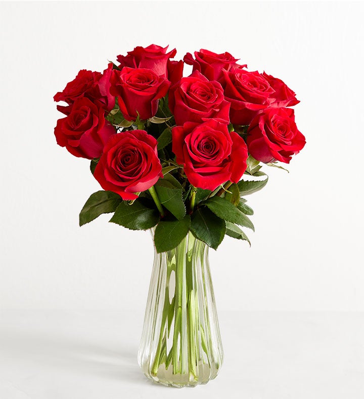 One Dozen Romantic Red Roses