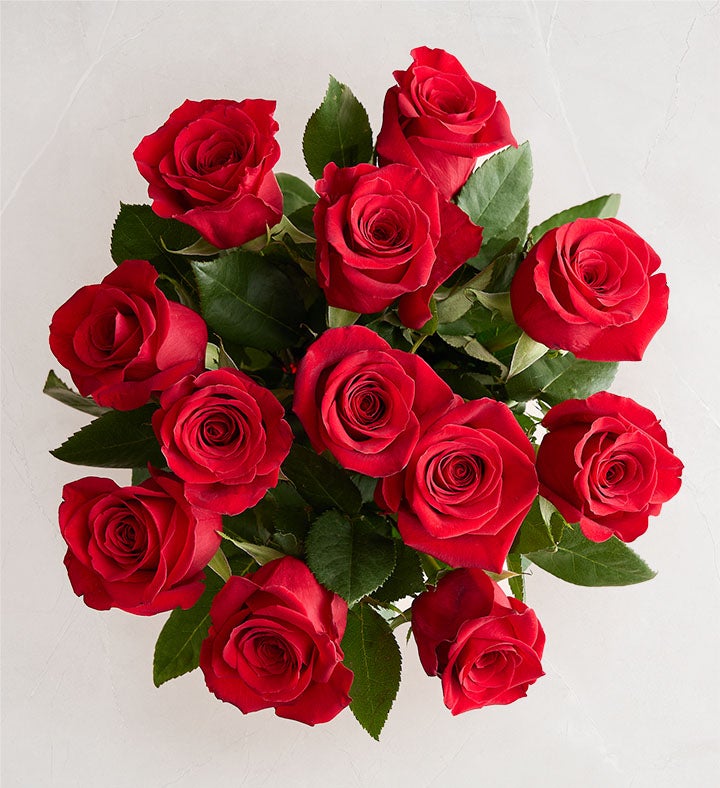 Red Roses