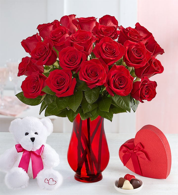 Two Dozen Romantic Red Roses