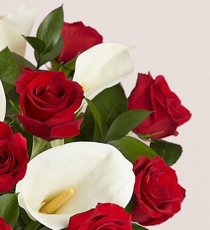 Calla rose clearance