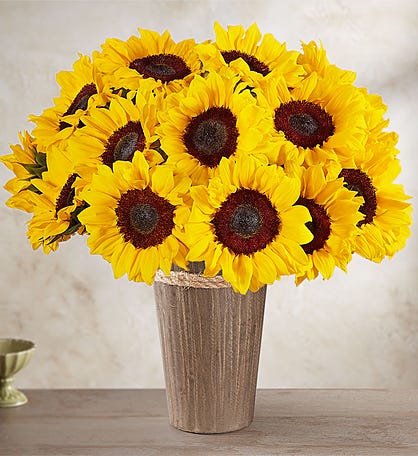 Sunflower Floral in Vase Flower Color: White