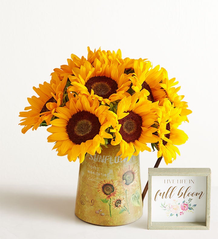 Sunflower Charm, 10 Stems