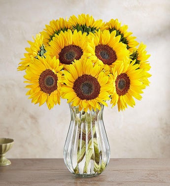 Birthday Flowers, Bouquets & Flower Arrangements | 1800Flowers.com