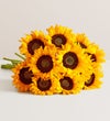 Sunflower Bouquet