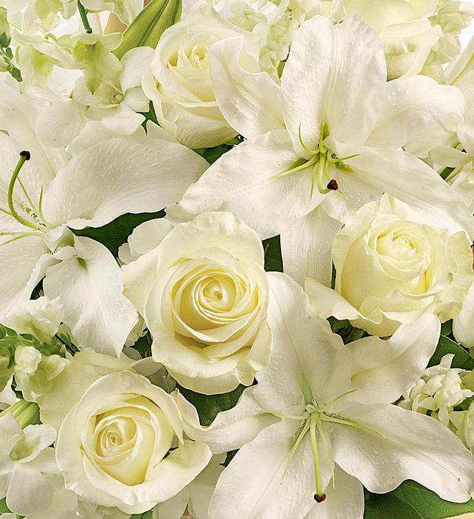 January's Arrangement