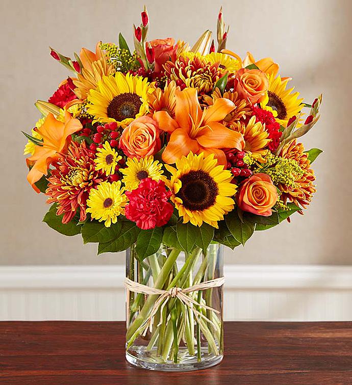 Sincerest Sorrow™ Fall