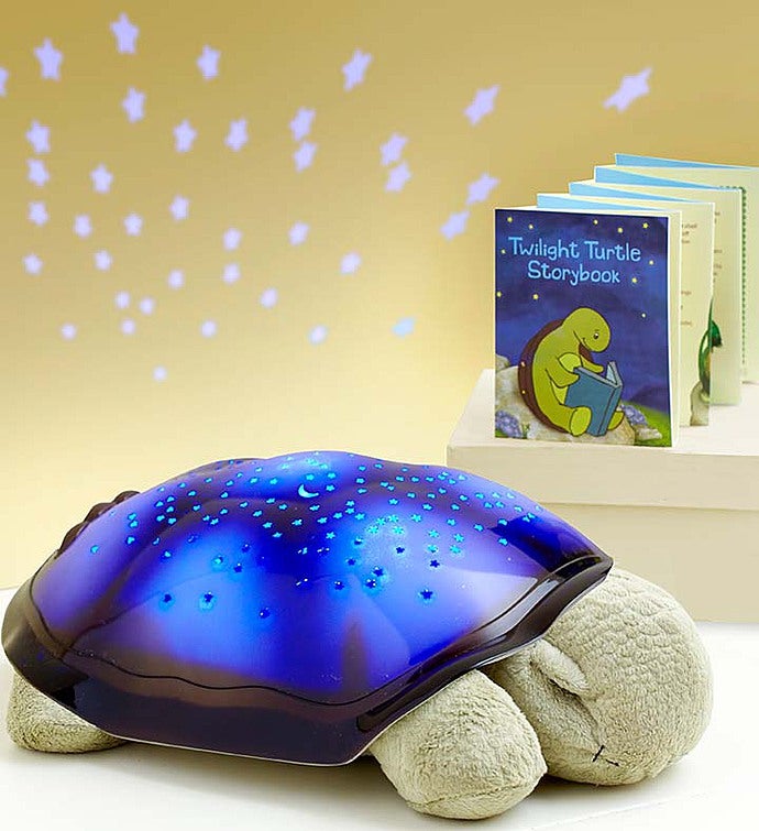 Twilight Turtle