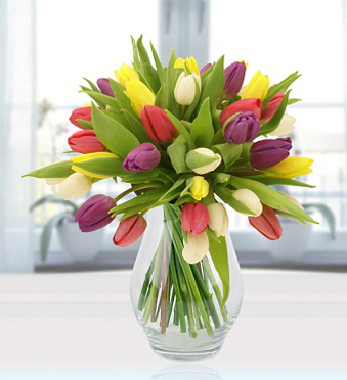 Simply Tulips