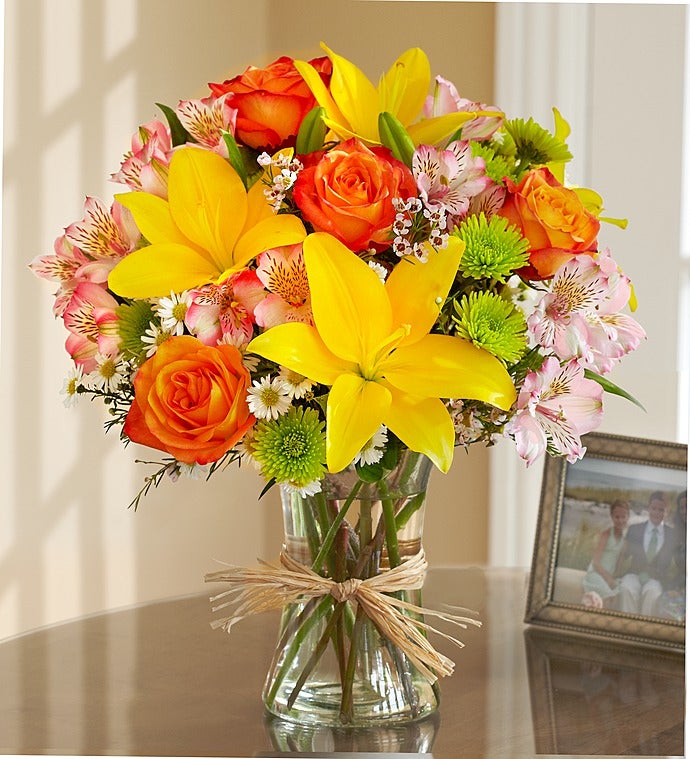 Fields of Europe Elegance