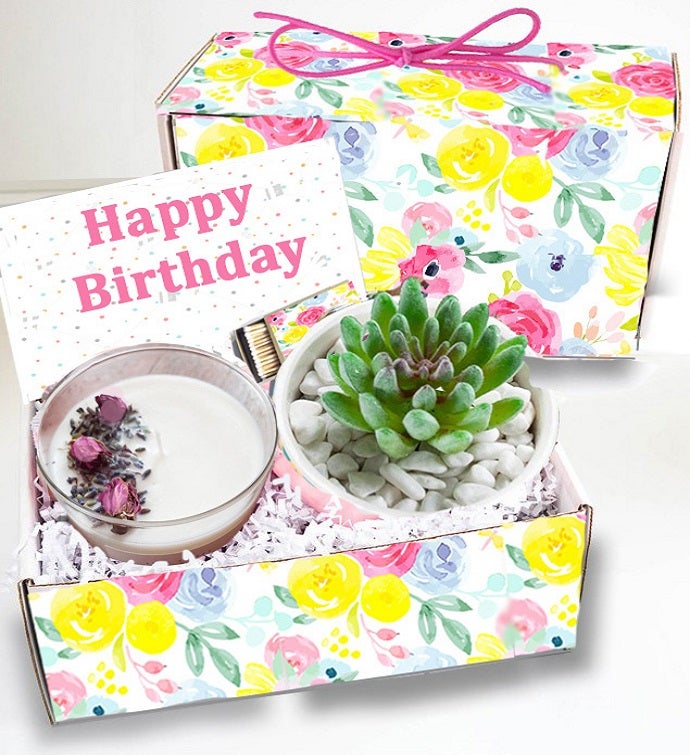 Happy Birthday Succulents