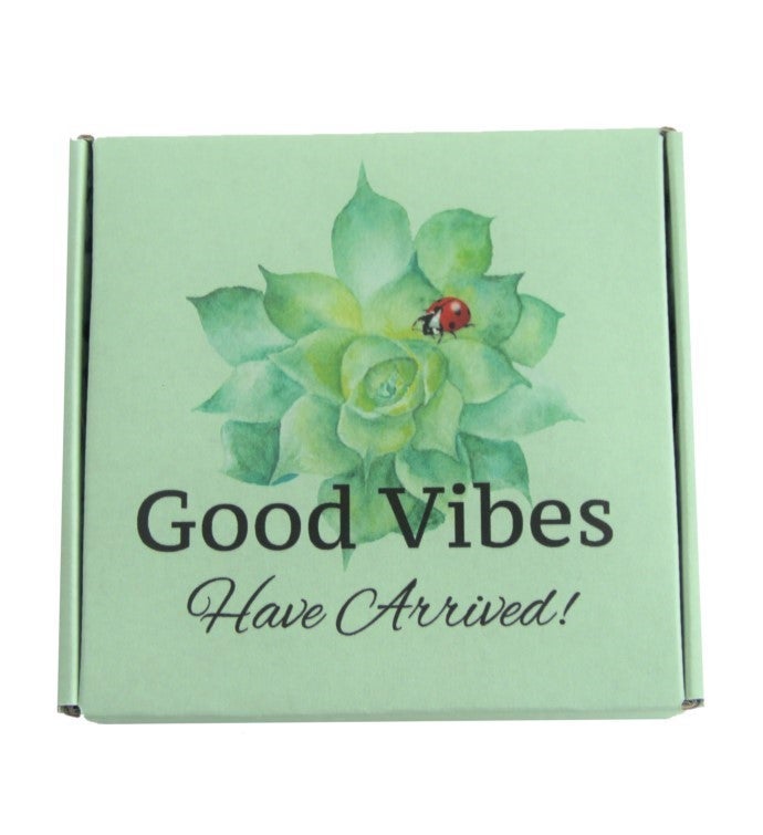 Good Vibes Housewarming Sage Gift Box