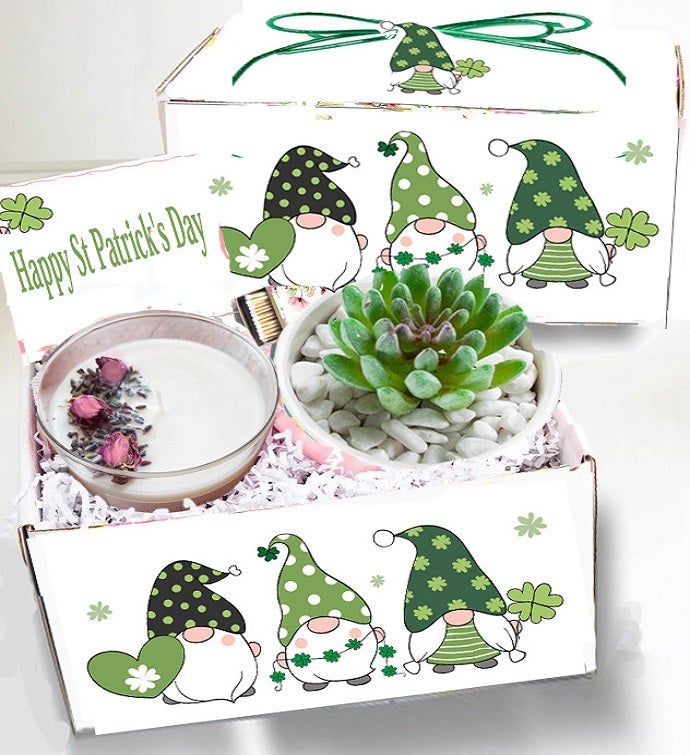 St Patrick’s Day Spa Succulent Gift Box