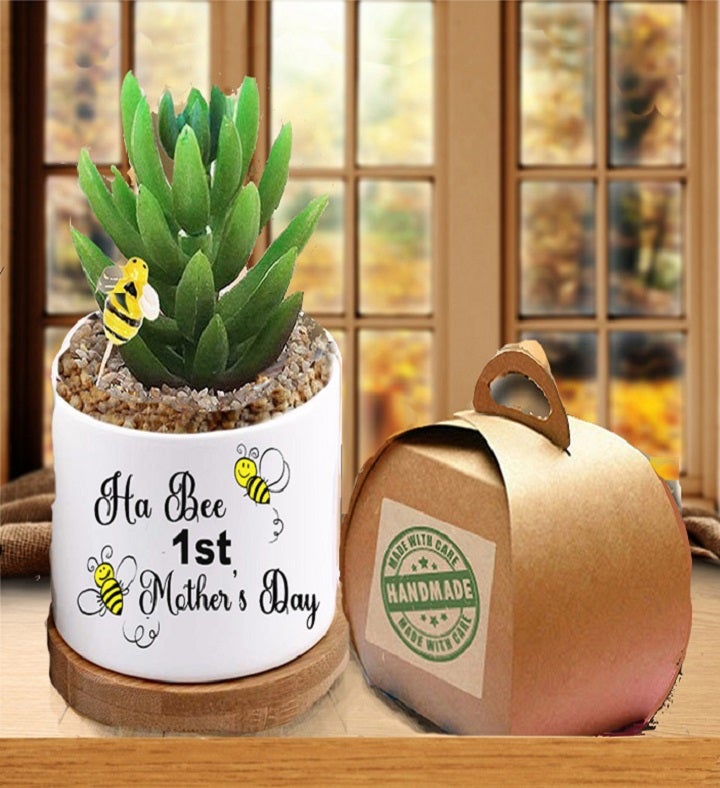 1st Mother's Day Succulent Gift