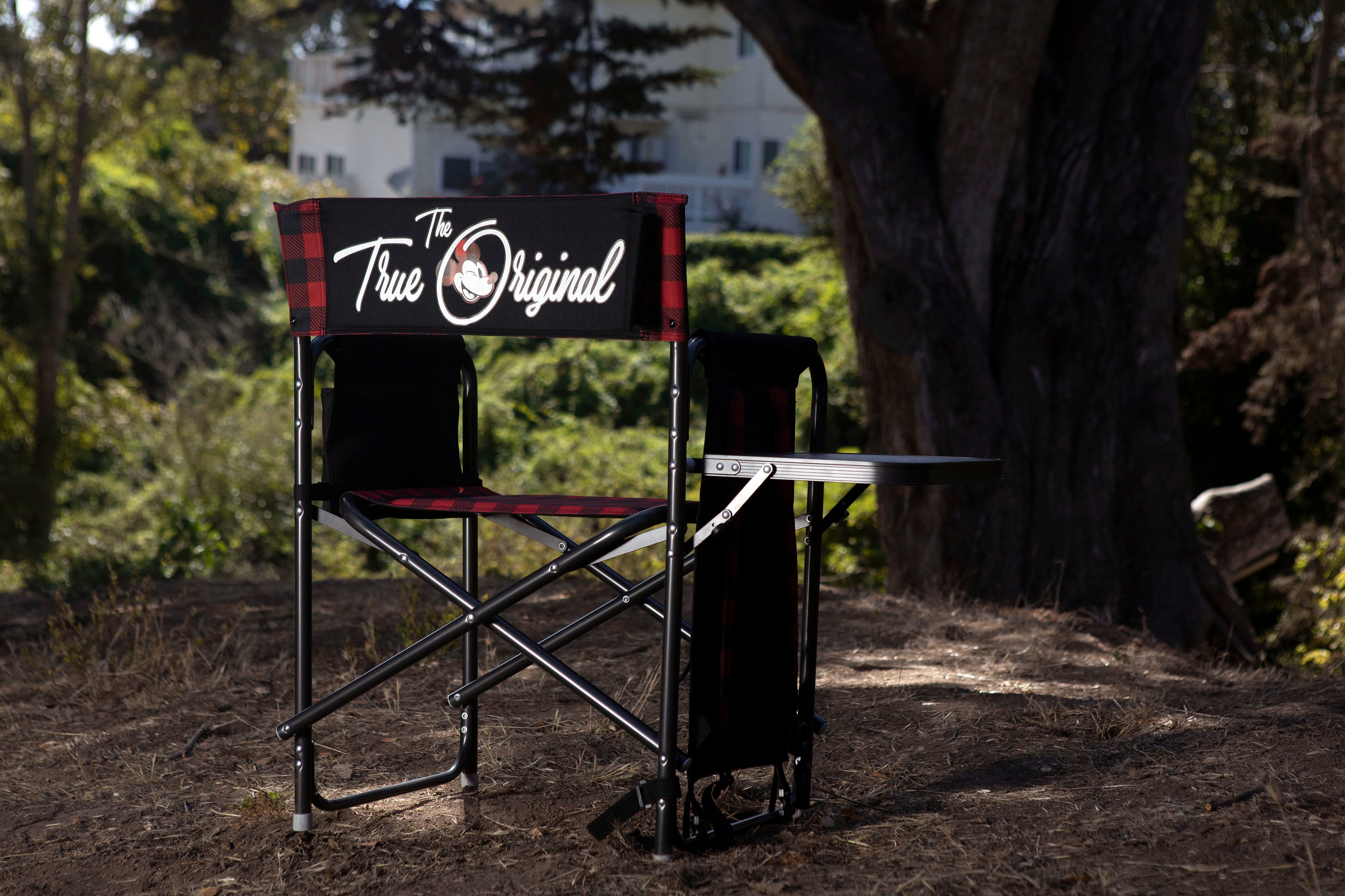 Outdoor Directors Folding Chair | Marketplace | 1800Flowers