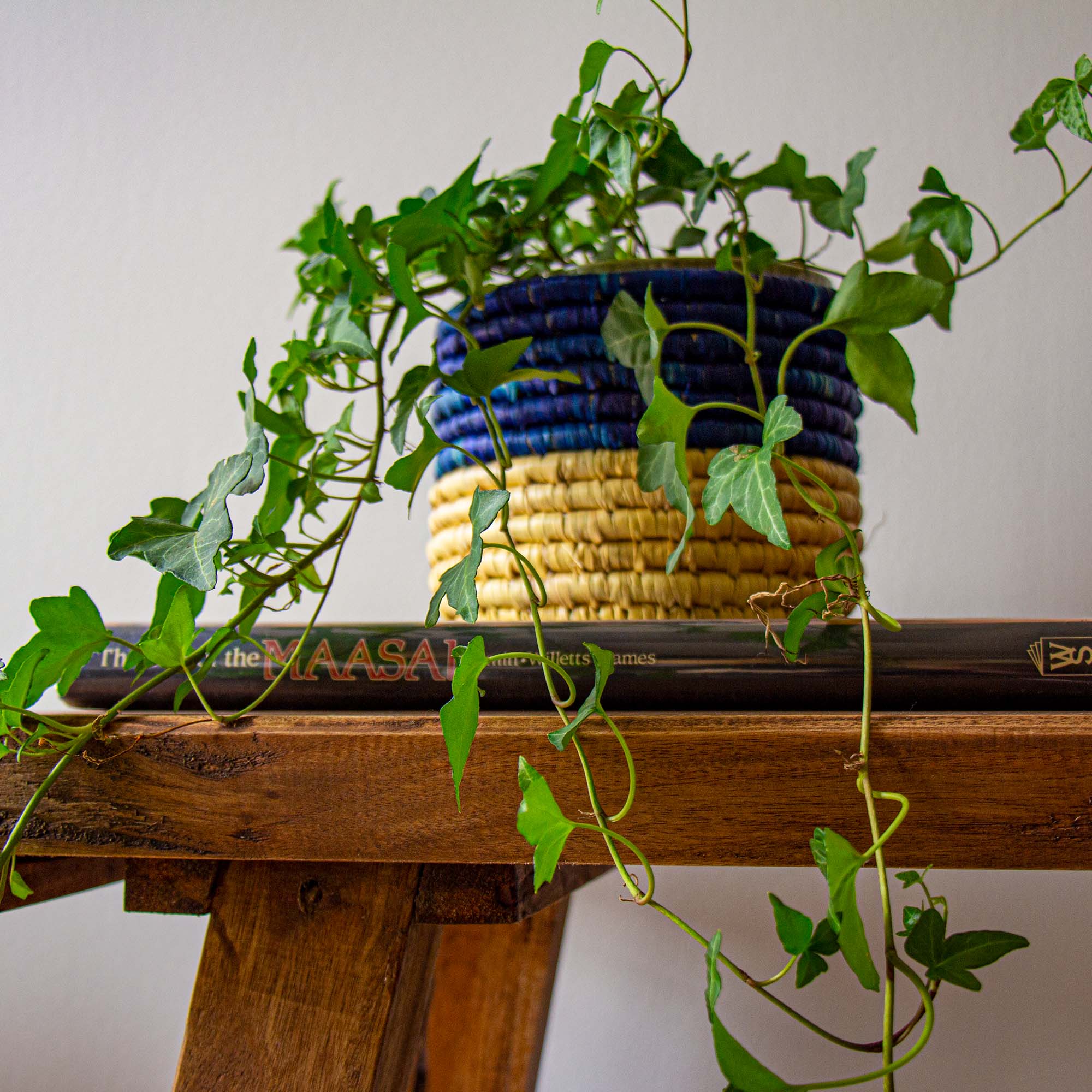 Dried Grass Basket