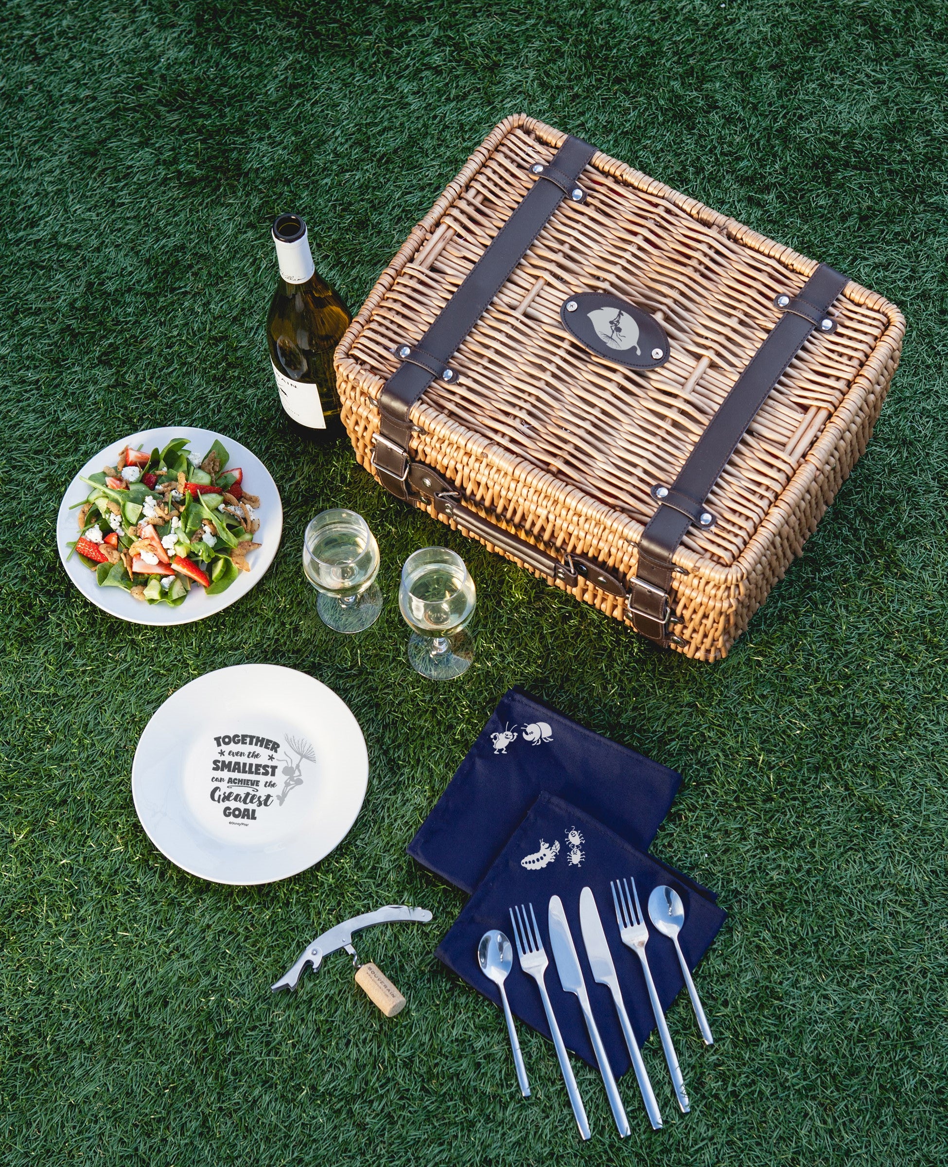 Disney Champion Picnic Basket