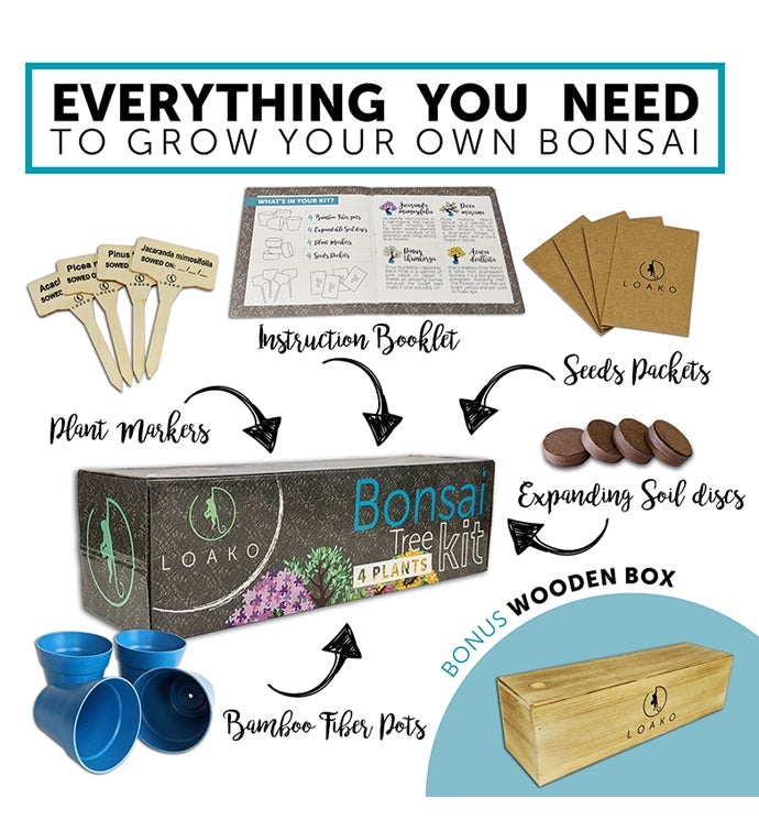 Premium Bonsai Tree Kit