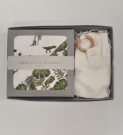 Dino Days Blanket And Teether Gift Set