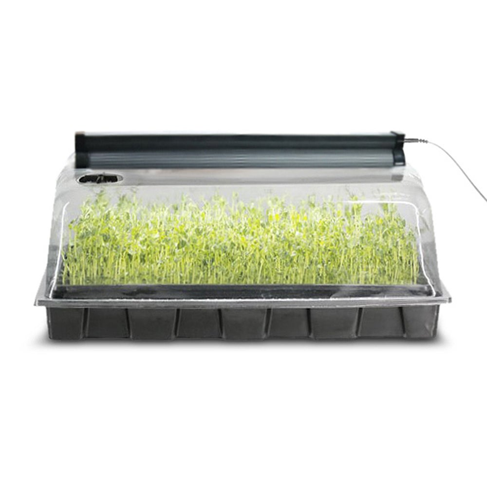 Seed Sprouting Biodome with LED Light
