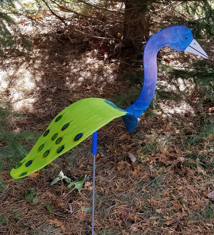 Peacock