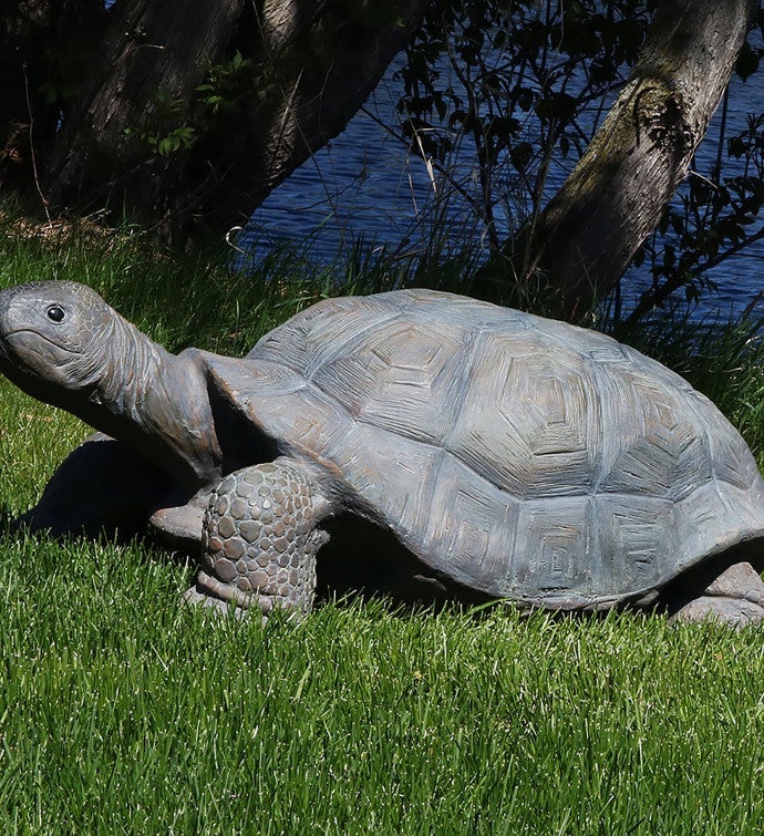 The Tortoise Indoor Outdoor Garden Statue