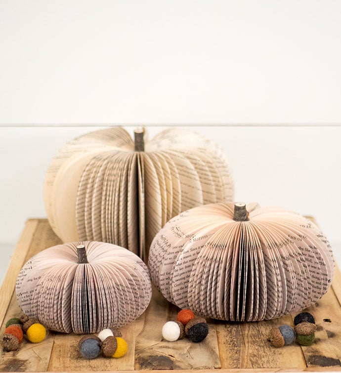 Set Of Natural Pumpkins