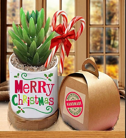 Christmas Succulent Gift