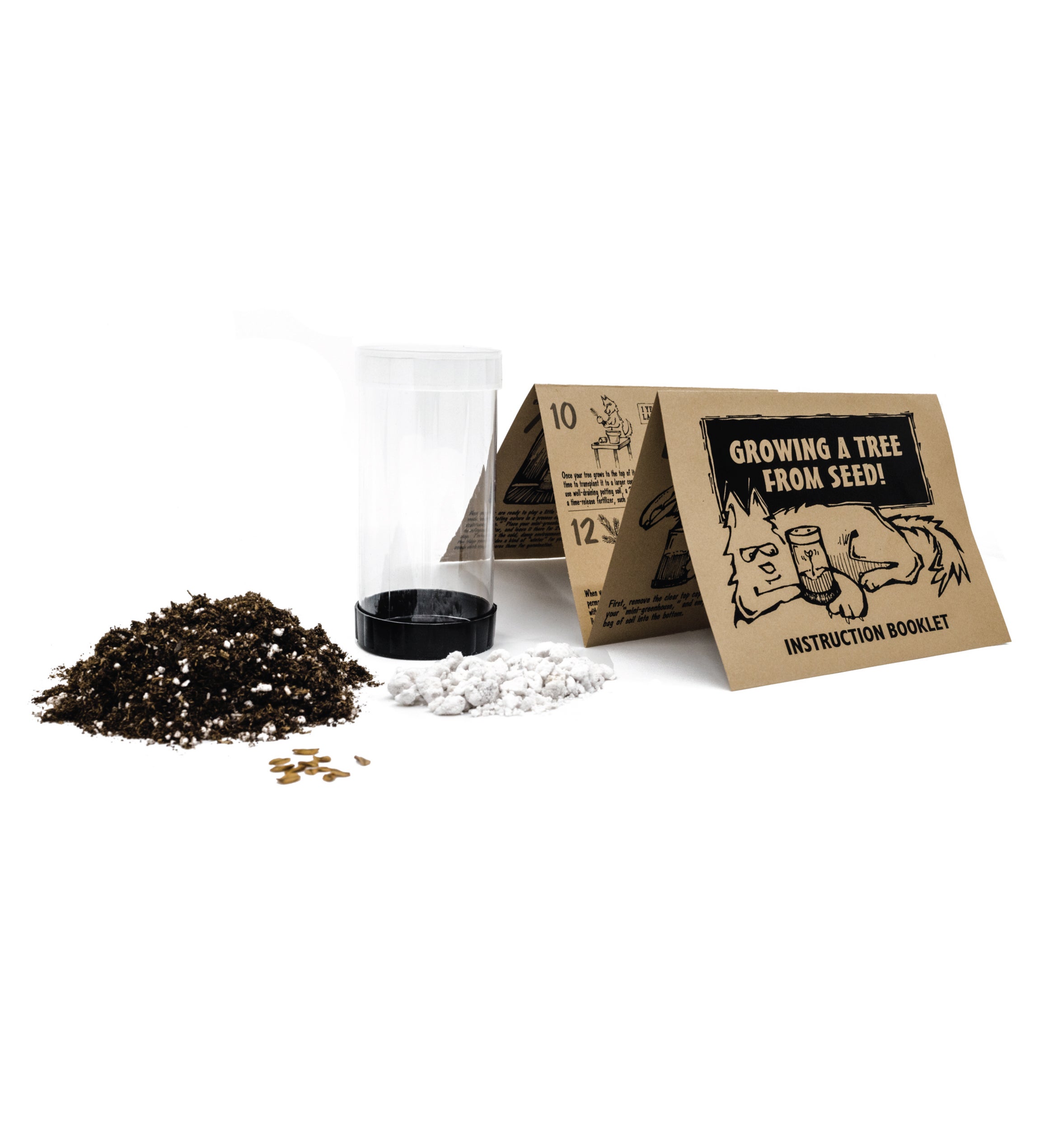 Ancient Bristlecone Pine Seed Grow Kit