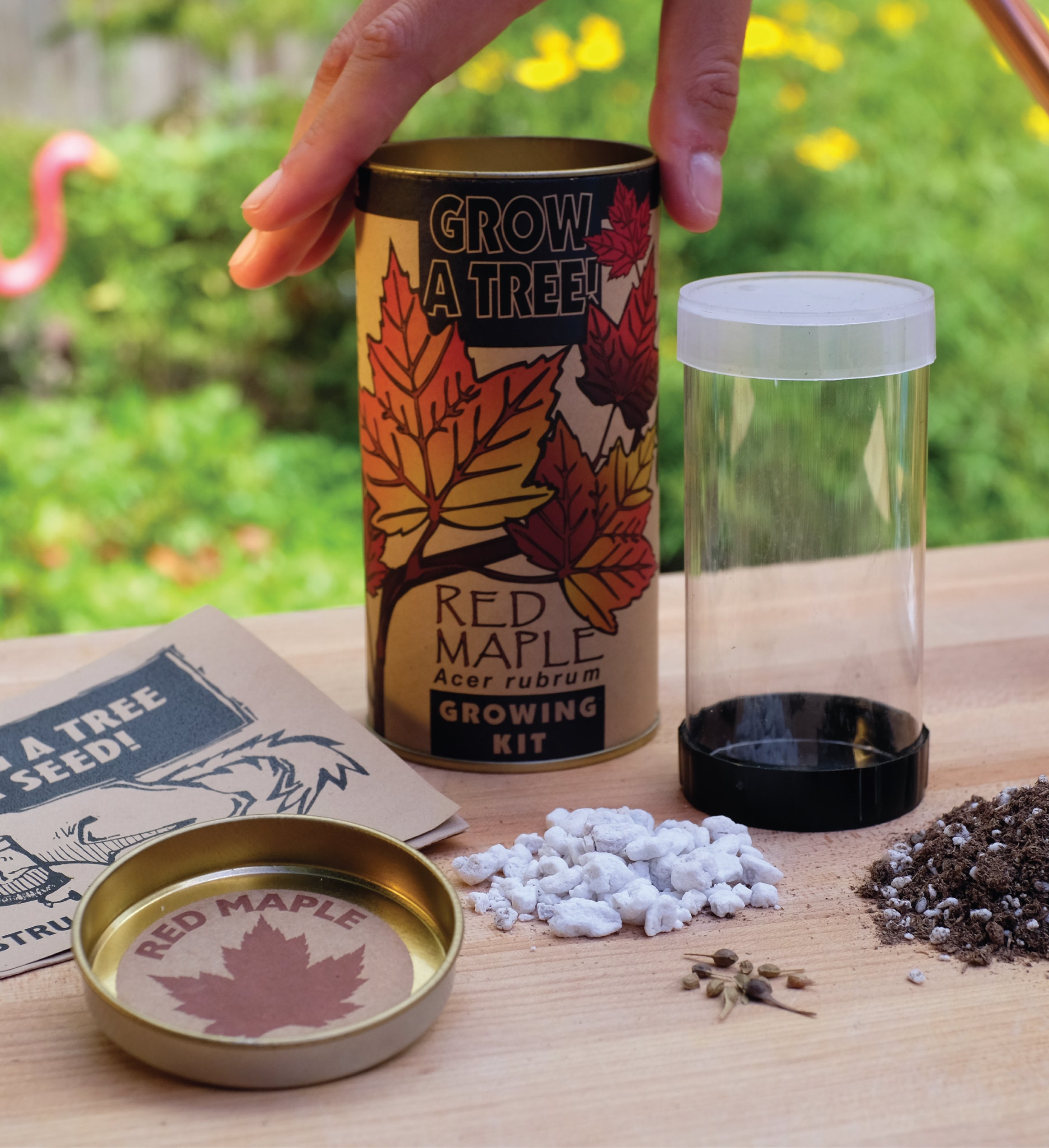 Red Maple Seed Grow Kit