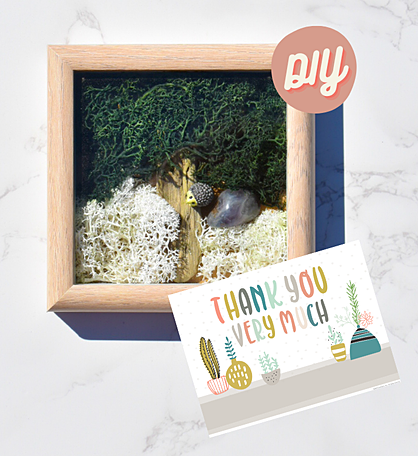 Thank You So Much Diy Moss Wall Art Kit, Mossy Tree