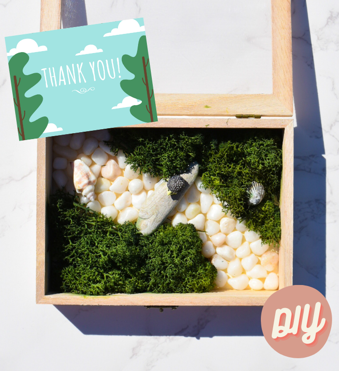 Thank You DIY Moss Wall Art Kit, Riverway