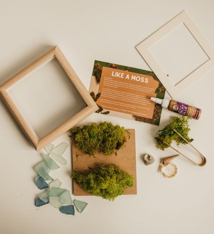 Art Gift Kit, Teenager Craft Kit, Craft Set, Moss Wall Kit, Flower
