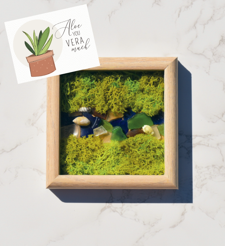 Aloe You Vera Much Diy Moss Wall Art Kit, Mossy Tree