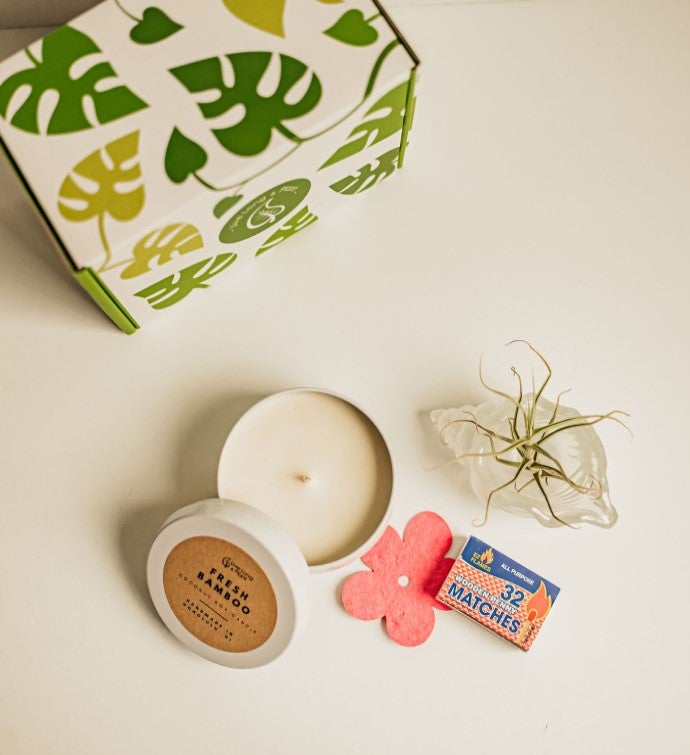 Aloe You Vera Much Plant & Candle Gift Box