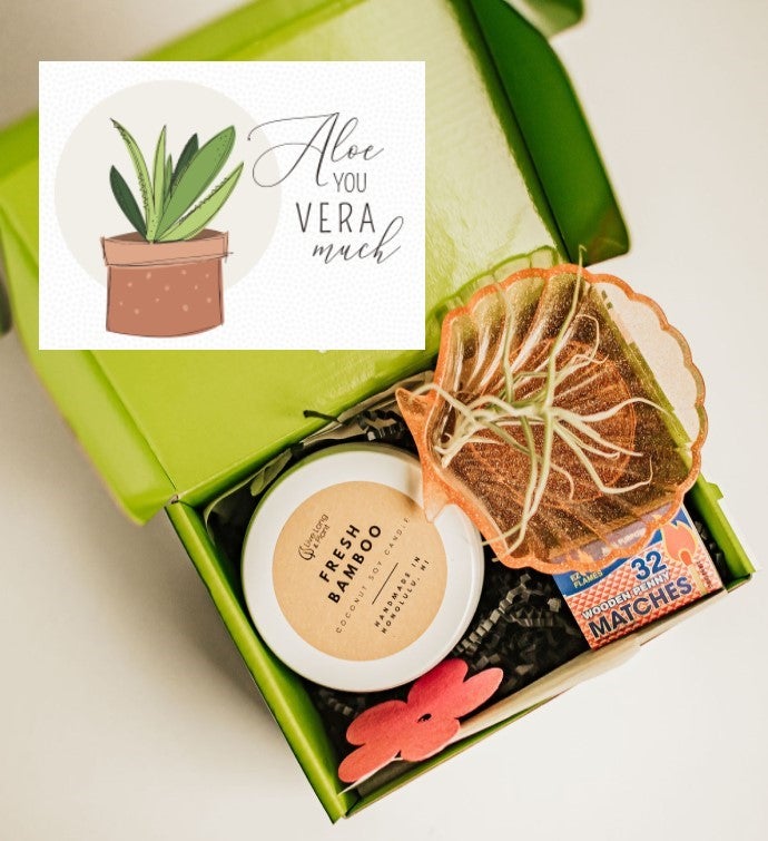 Aloe You Vera Much Plant & Candle Gift Box