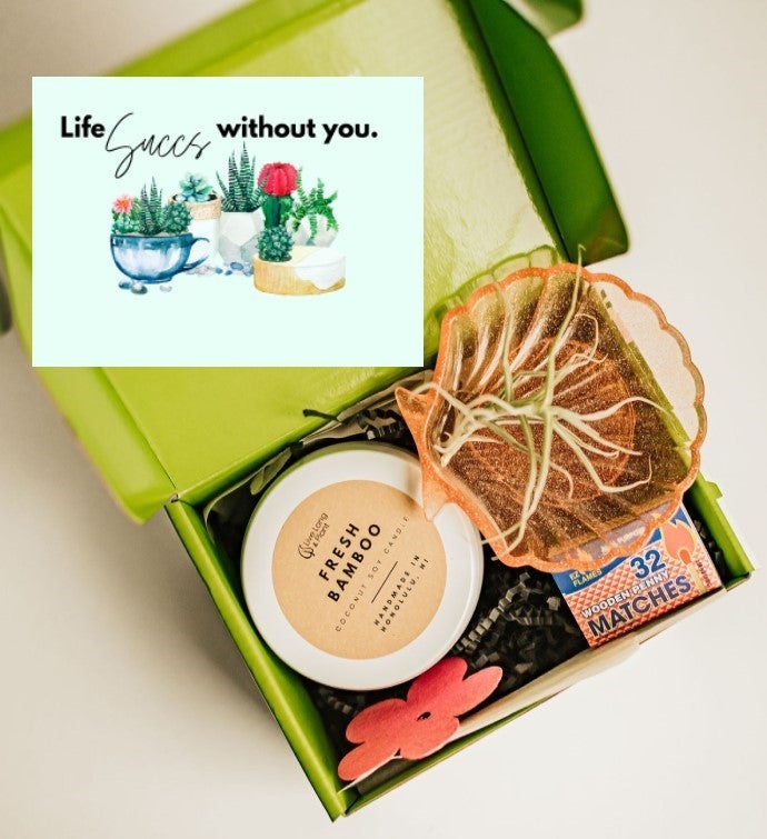 Life Succs Without You Plant & Candle Gift Box