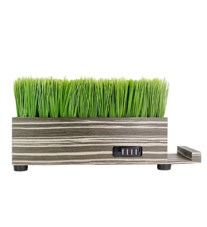 Baby Grass Charging Station