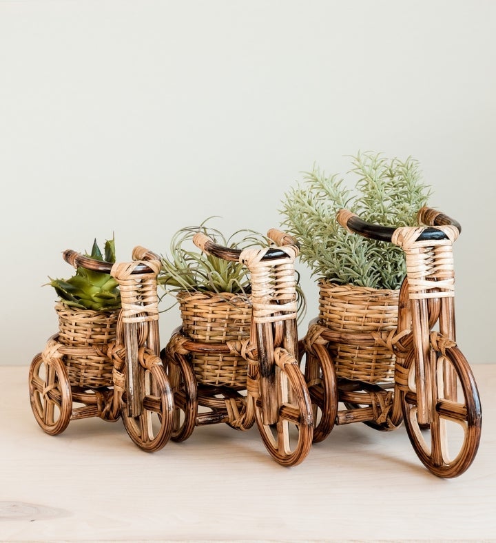 Bicycle Rattan Planter