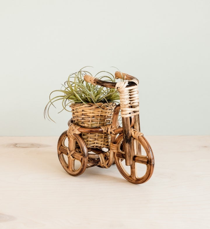 Bicycle Rattan Planter